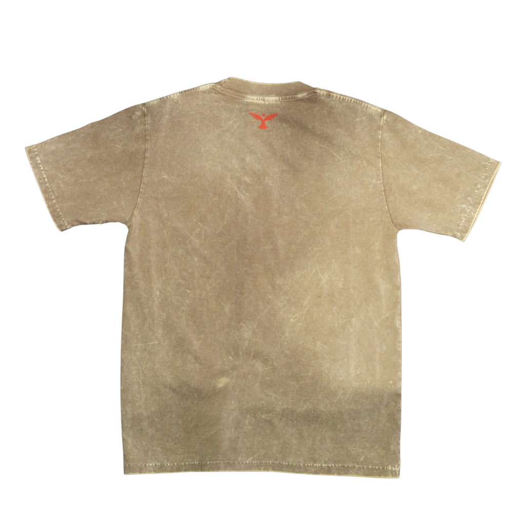 Capsule Tees (Treo Gastado)