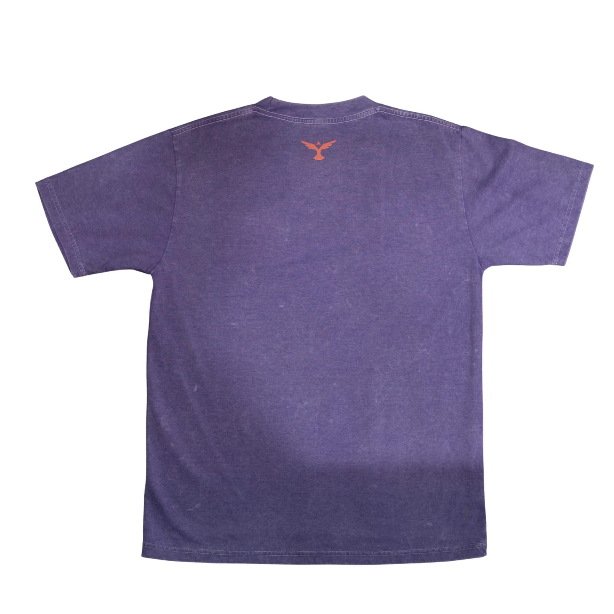 Capsule Tees (Treo Gastado)