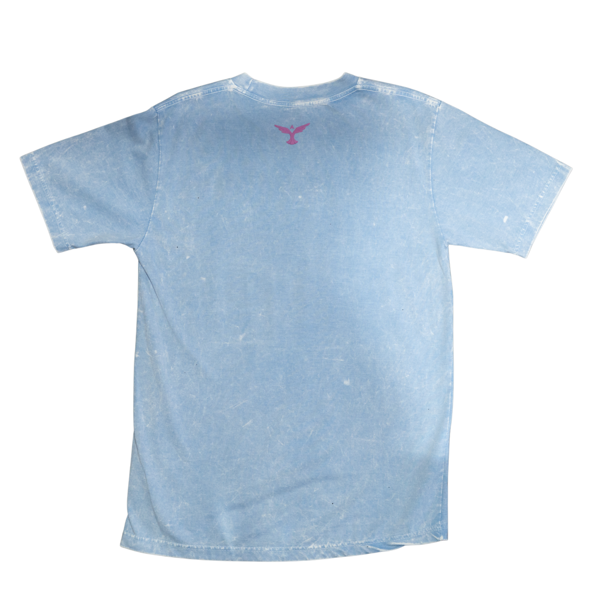 Capsule Tees (Treo Gastado)